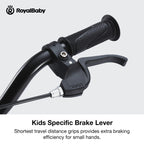 Royalbaby Freestyle Kids Bike 20 Inch Wheel Bicycle Teens Bmx With Dual Hand Brakes Kickstand Boys Girls Ages 6-10 Years, Green
