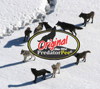 Predatorpee 100% Wolf Urine - Territorial Marking Scent - Creates Illusion That Wolf Is Nearby - 12 Oz