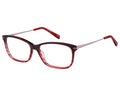 Pierre Cardin frame (PC8471 8RR) Acetate - Metal Red stripe - Rose gold