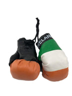 Hanging Car Mirror Mini Boxing Gloves (Ireland)