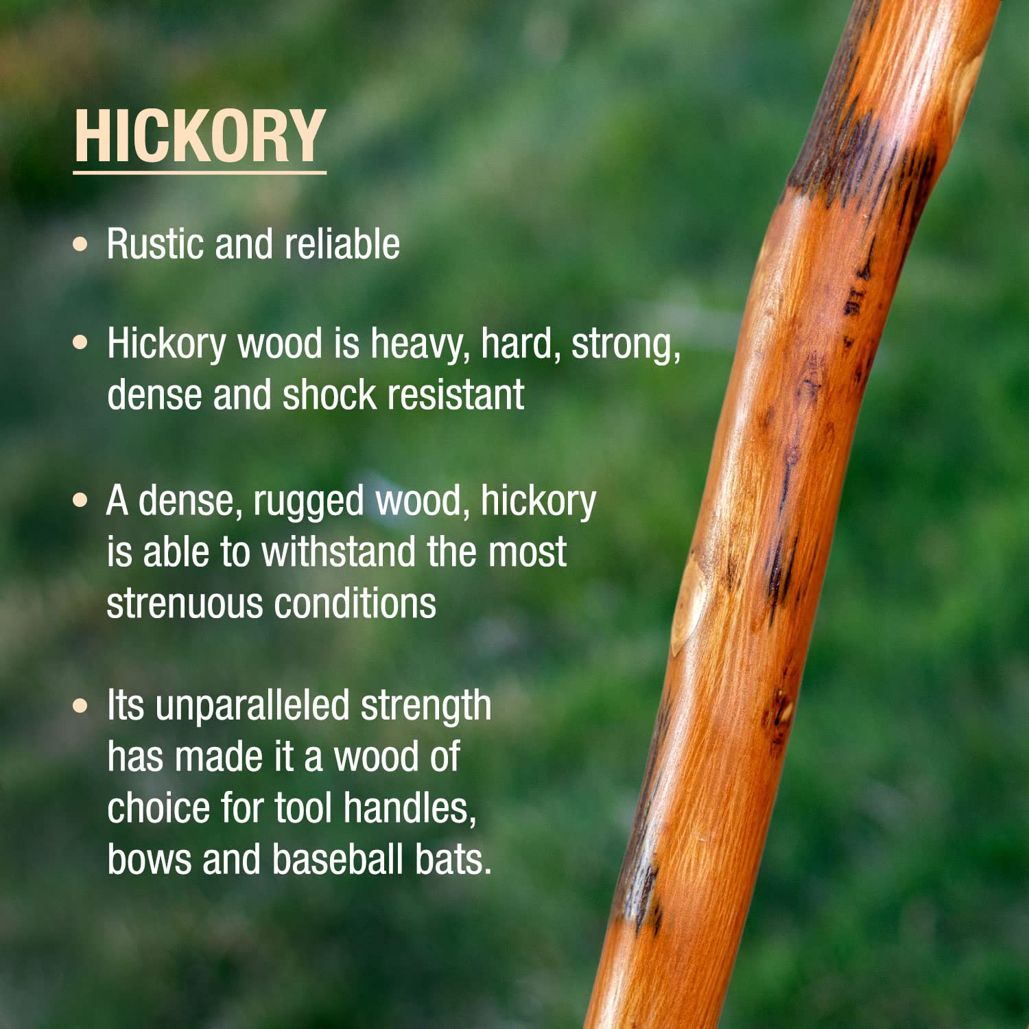 Brazos Rustic Wood Walking Stick, Hickory, Traditional Safari Style Handle, For Men & Women, Made In The Usa, 58'' Natural
