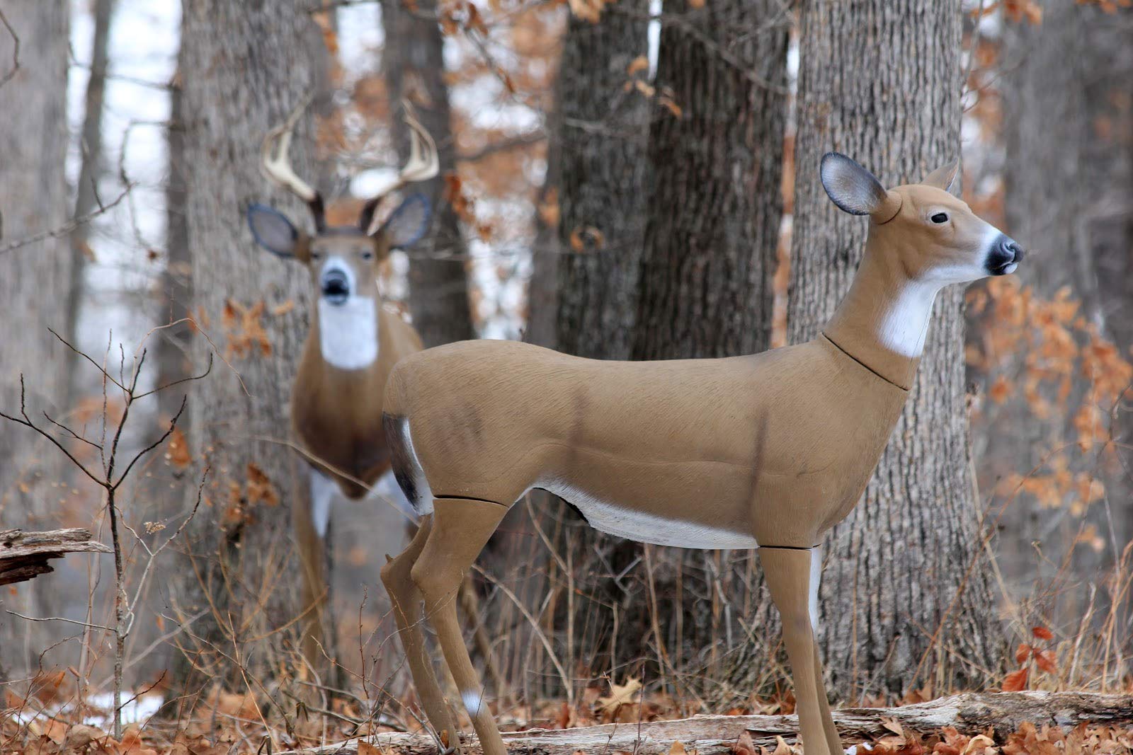 Flambeau Outdoors 5965Md Boss Babe - Masters Series Deer Decoy