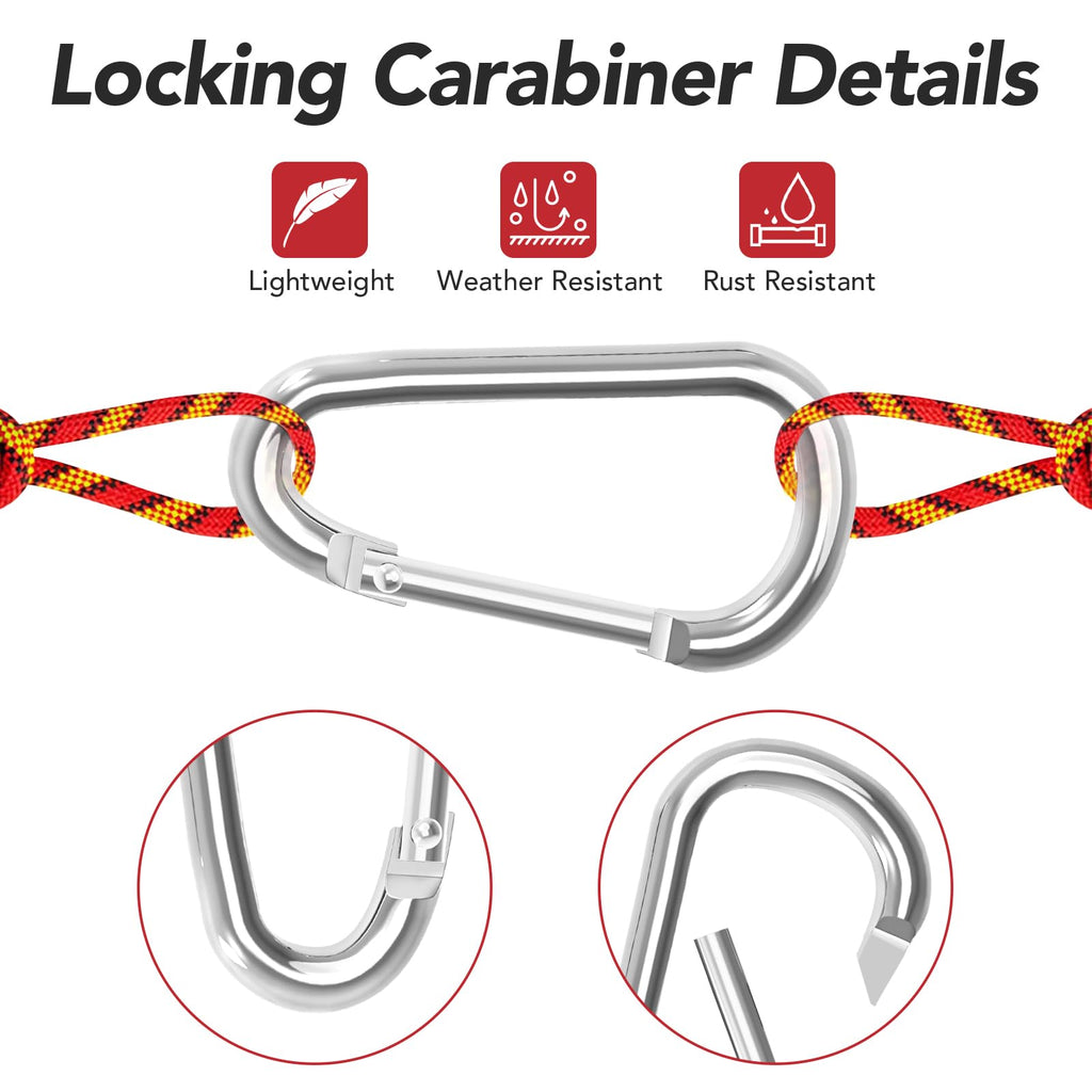 Zalava 24Pc Aluminum Carabiner Clip D Ring, 24Pc Keychain Clips Spring Snap Hook,Small Carabiners Set For Outdoor Camping Fishin