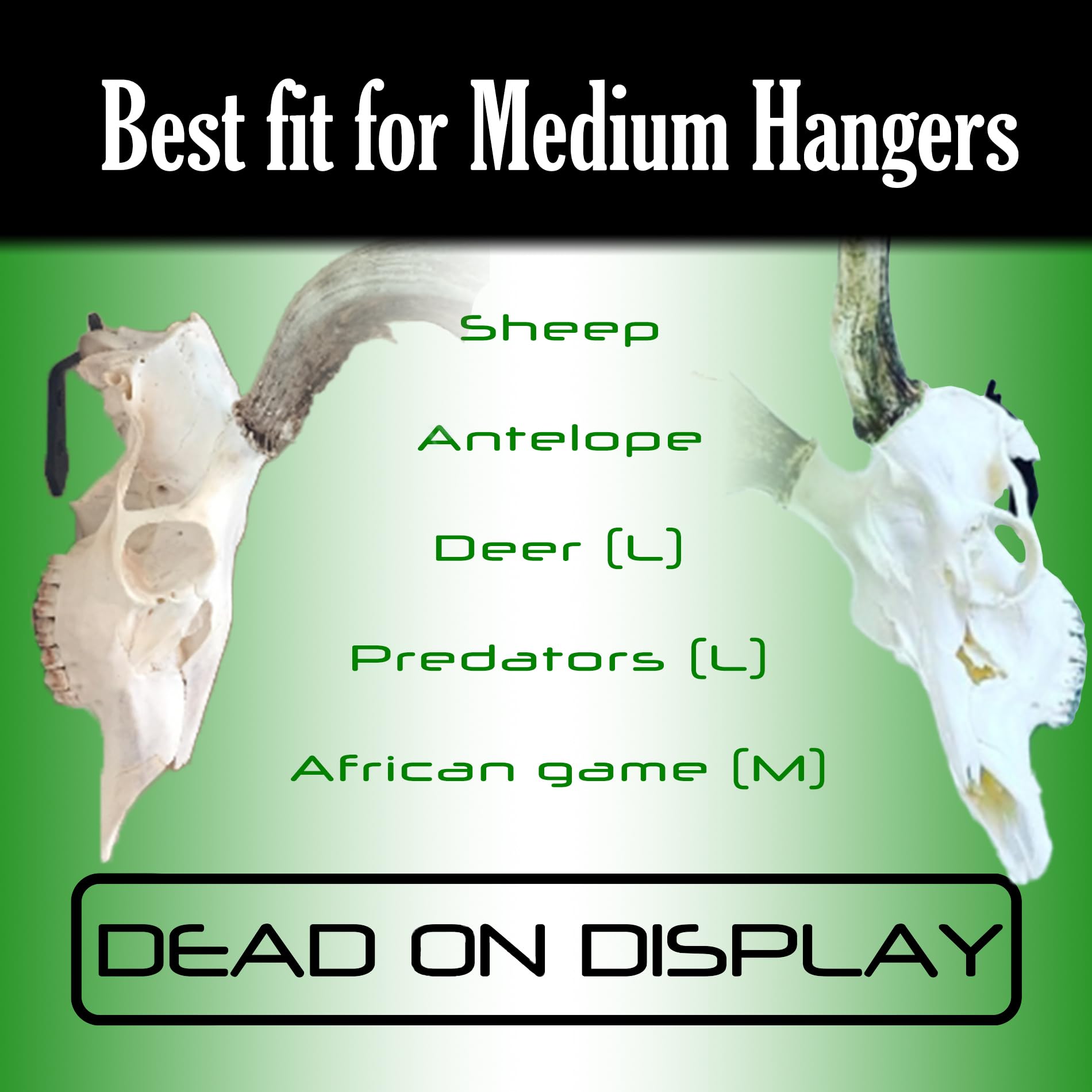 Dead On Display Skull Hanger, European Skull Hanger, Wall Mount For White Tail Deer, Mule Deer, Antelope, African Game, Bear, Ex