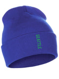 Daxton Vertical Usa Cities Cuffed Beanie Winter Knit Hat Skully Cap, Seattle Royal Kelly