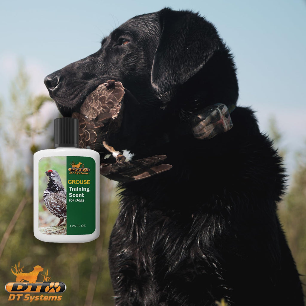D.T. Systems Training Scent For Pets, 1-1/4-Ounce, Grouse