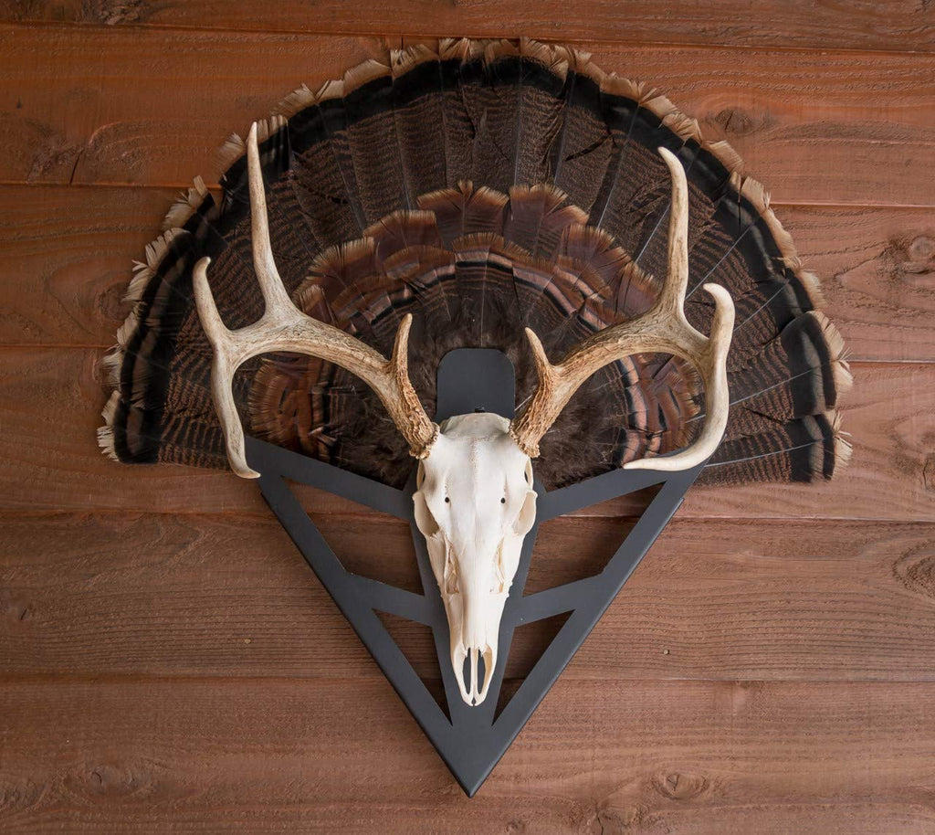 Do-All Outdoors Dead Deer Strut-N-Skull - Solid Steel Deer Mount - European Mount With Turkey Fan Display - Skull Mount Turkey T