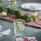 Plasticpro Disposable 10 Oz Crystal Clear Plastic Tumblers With Silver Rim For Partys  Weddings Pack Of 100