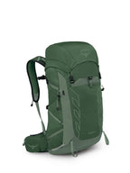Osprey Talon 33L Mens Lightweight Hiking Backpack - Daypack for Travel & Camping, Green Canopy/Pine Leaf