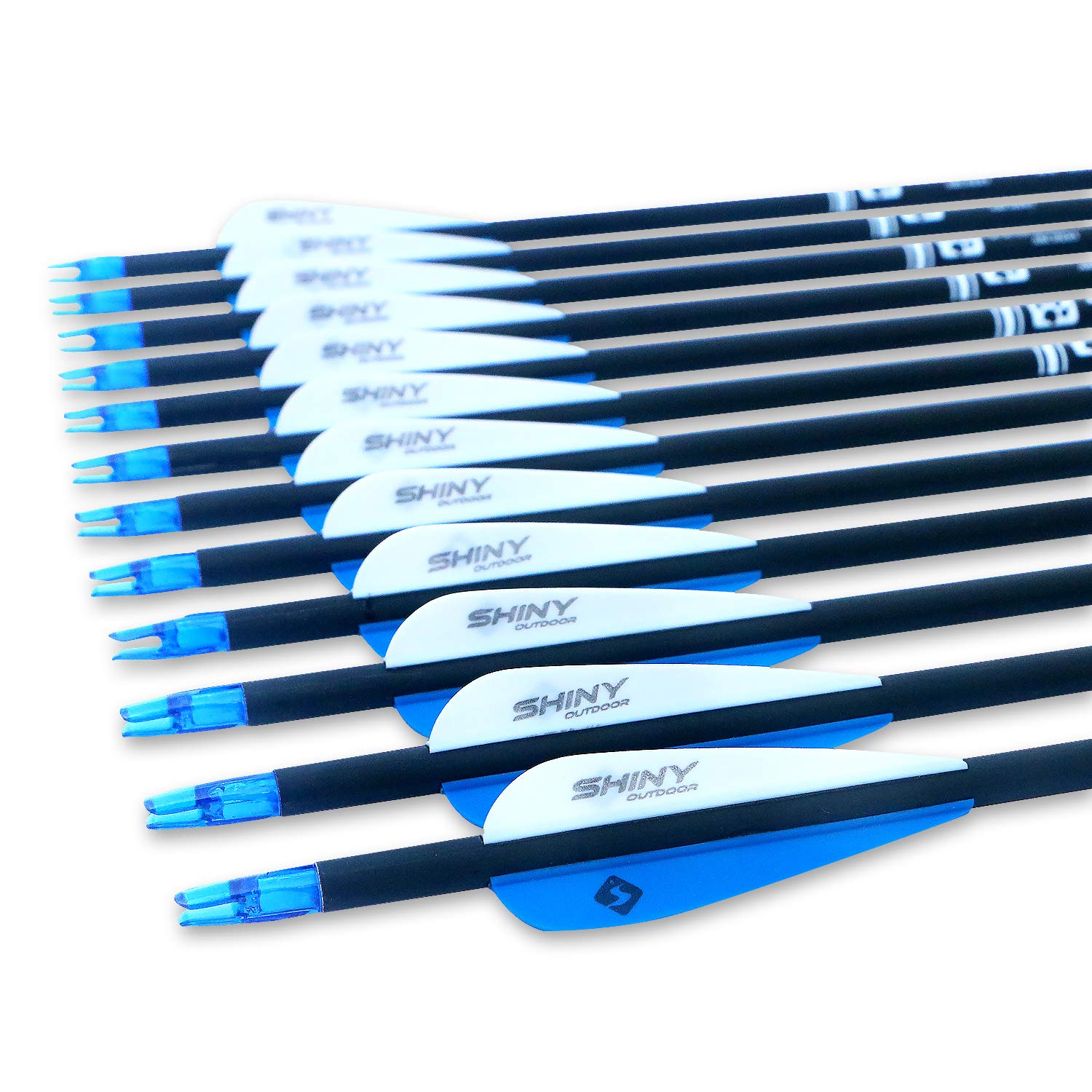 Tiger Archery 30Inch Carbon Arrow Practice Hunting Arrows With Removable Tips For Compound & Recurve Bow(Pack Of 12) (Blue White
