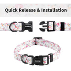 Ihoming Dog Collar And Leash Set For Daily Outdoor Walking Running Training, Floral Sky Design For Small Boys Girls Dogs Cats Pe