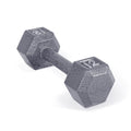Cap Barbell Cast Iron Hex Dumbbell, Single, 12 Lb