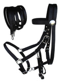 CHALLENGER Horse Western English Black Nylon Halter Bridle Combo with Reins 60111BK-F