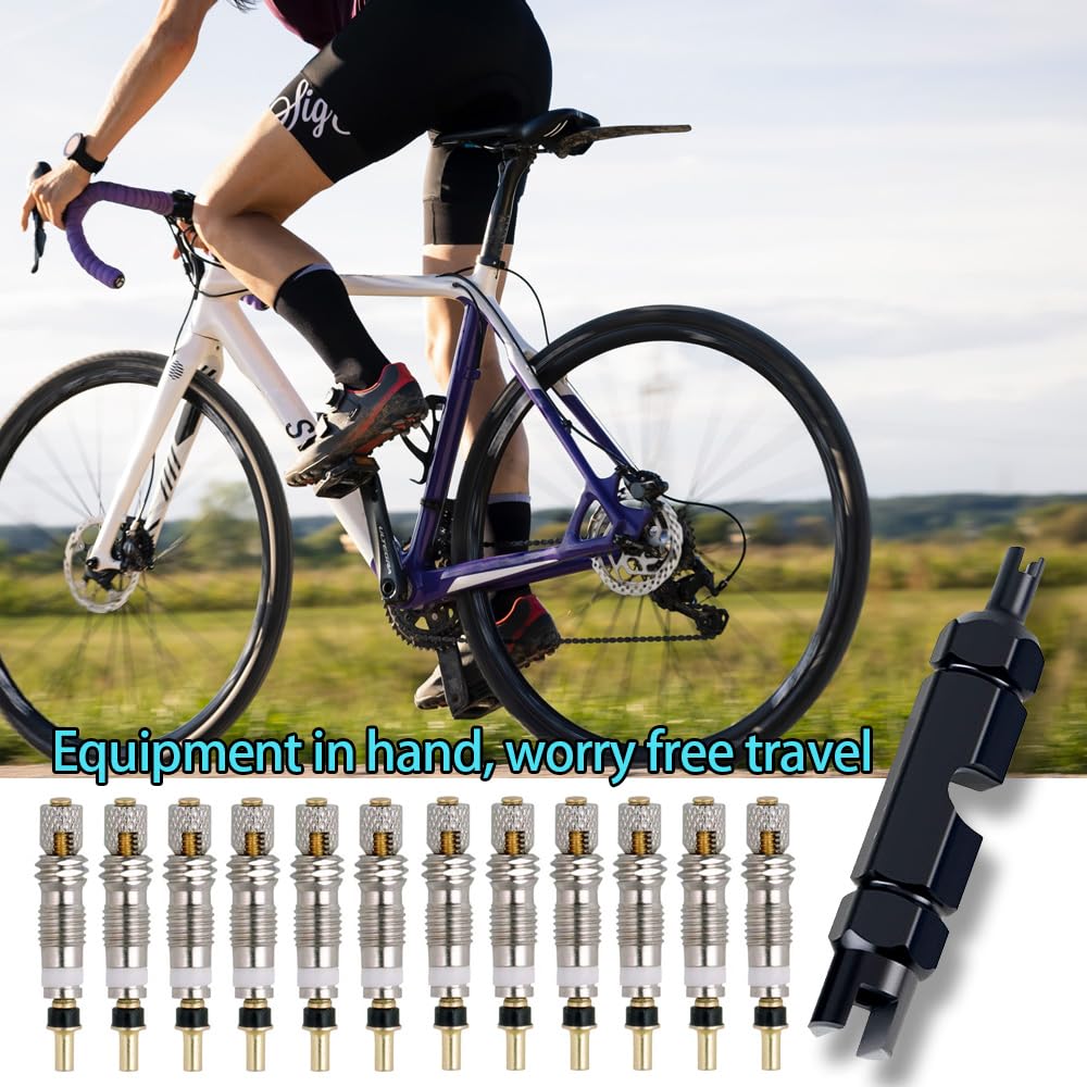 12Pcs Presta Valve Core Bike Bicycle Valve Core Removal Tool Mtb Tire Valve Stem Repair, Valve Core Replacements Set, Presta & S
