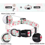Ihoming Dog Collar And Leash Set For Daily Outdoor Walking Running Training, Floral Greenlake Design For Small Boys Girls Dogs C