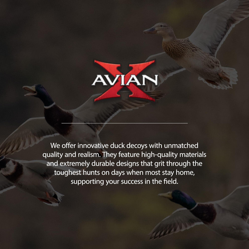 Avian-X Axp Full Body Mallards Decoy With Durable Materials, Wind Activated Motion System, And 6 True To Life Postures, 6 Pack,