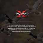 Avian-X Axp Full Body Mallards Decoy With Durable Materials, Wind Activated Motion System, And 6 True To Life Postures, 6 Pack,