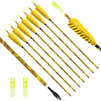 [6 Pack] Archery Sharly 31Inch Carbon Arrow Practice Hunting Arrows With 5 Camo Natural Feathers For Traditional Recurve Bow And