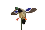 Mojo Outdoors Mojo Baby Mallard Spinning Wing Duck Decoy, Duck Hunting Gear And Accessories, Drake