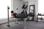 Weider Platinum Standard Weight Bench With Fixed Uprights And Integrated Leg Developer
