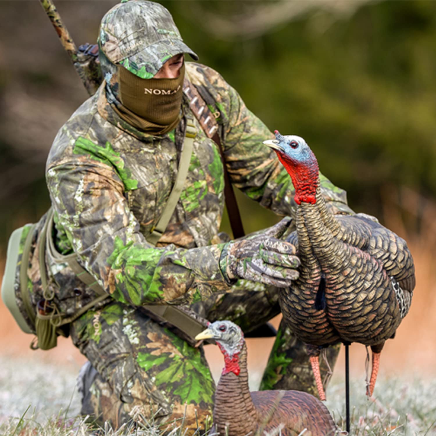 Avian-X Hdr Jake Turkey Decoy | Rugged Durable Realistic Lifelike Quarter-Strut Body Standing Hunting Decoy With 2 Removable Hea