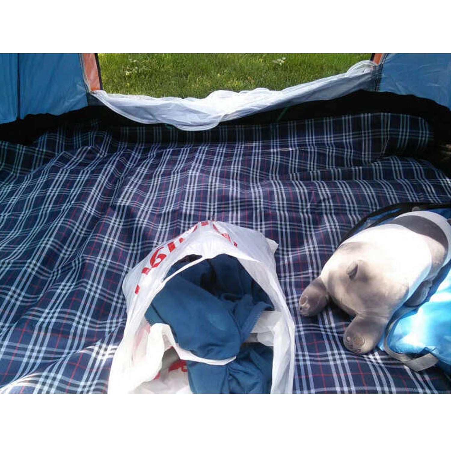 Wind Tour Family Outdoor Waterproof Durable Picnic Blankets With Carry Strap,Foldable 50   70.9 Inch Sandproof Beach Mat For Kid