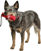 Company Of Animals Canvas Training Dummy For Dogs, Retrieval Training Equipment Floats, Highly Visible, Long Distance Throwing,