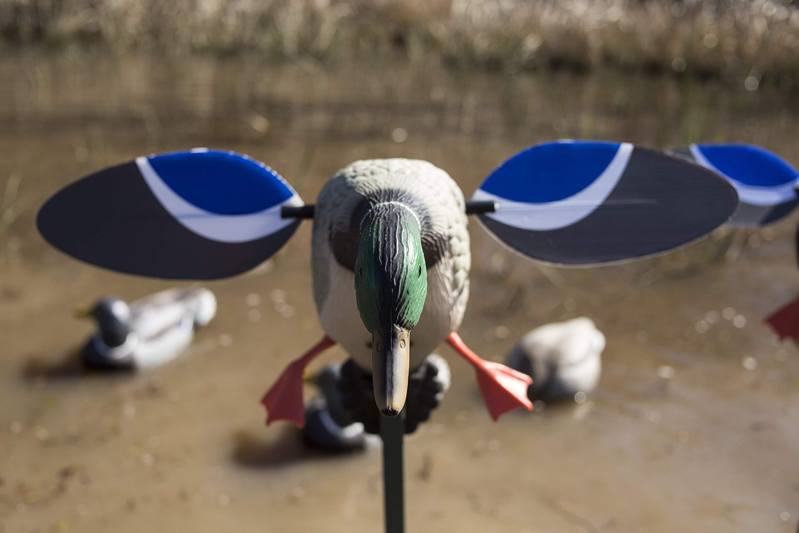 Mojo Outdoors Mojo Baby Mallard Spinning Wing Duck Decoy, Duck Hunting Gear And Accessories, Drake