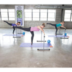 Gofit Brown Gobarre Workout Set (Gf-Bbar)