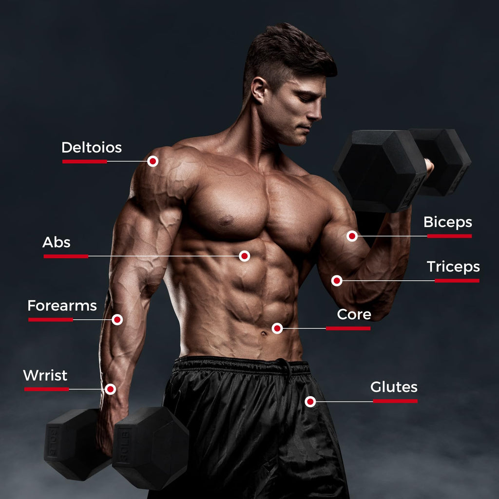 Ritfit 300/350/450/220 Lb Rubber Hex Dumbbells Set With Optional Dumbbell Rack, Multi Weight Set To Choose, Ideal For Home Gym A
