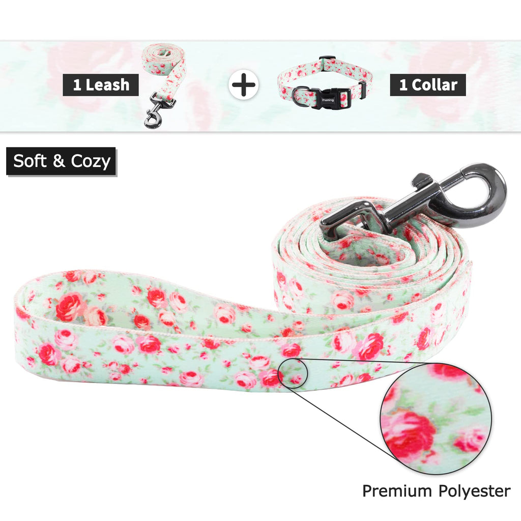 Ihoming Dog Collar And Leash Set For Daily Outdoor Walking Running Training, Floral Greenlake Design For Small Boys Girls Dogs C