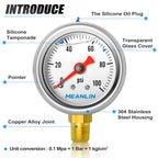 Meanlin Measure 0100Psi Stainless Steel 18 Npt 15 Face Dial, Glycerin Filled Fuel Pressure Gauge, Liquid Filled Pressure Gauge W