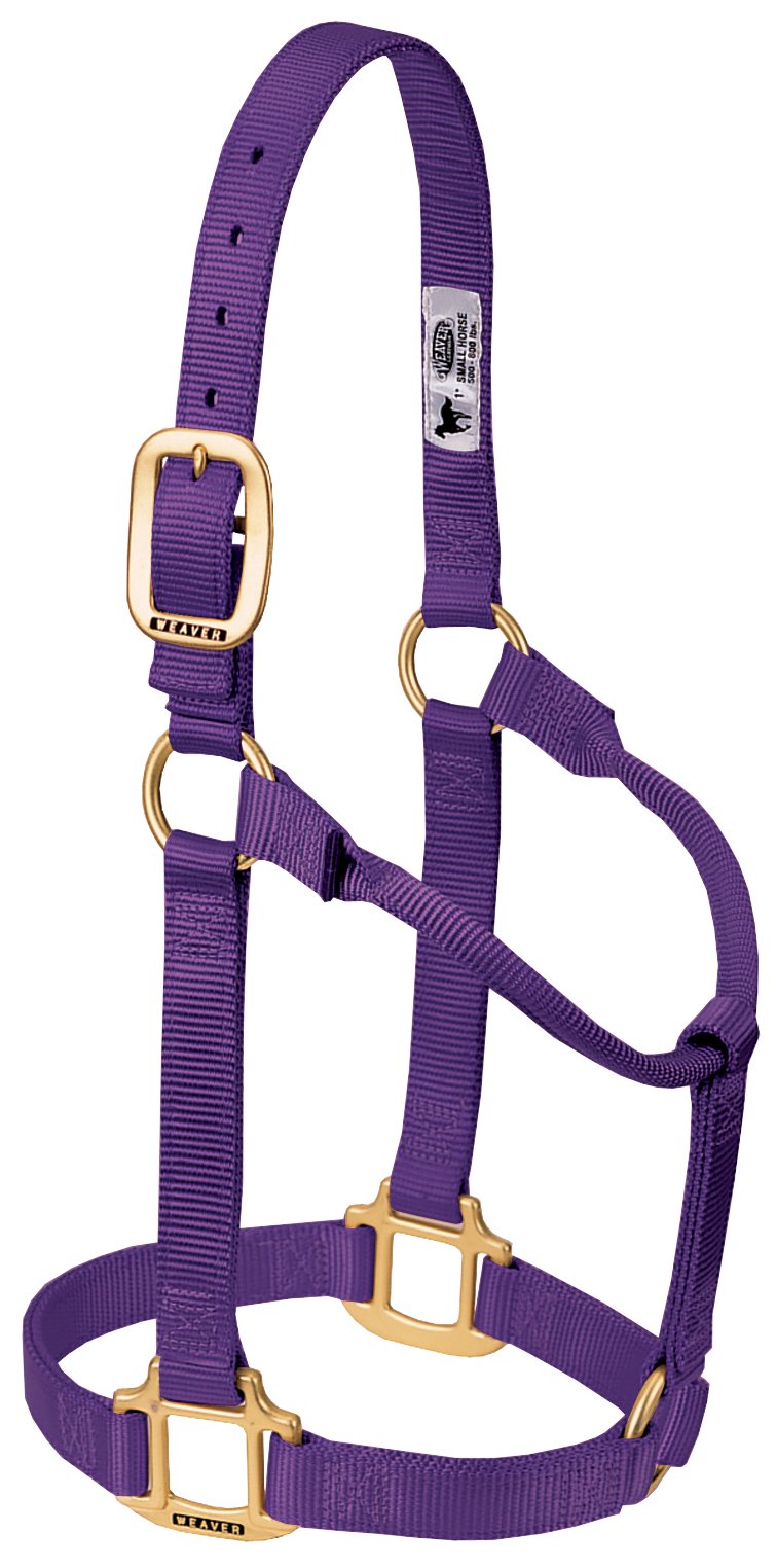 Weaver Leather Original Non-Adjustable Nylon Horse Halter, Purple, Yearling