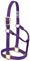 Weaver Leather Original Non-Adjustable Nylon Horse Halter, Purple, Yearling