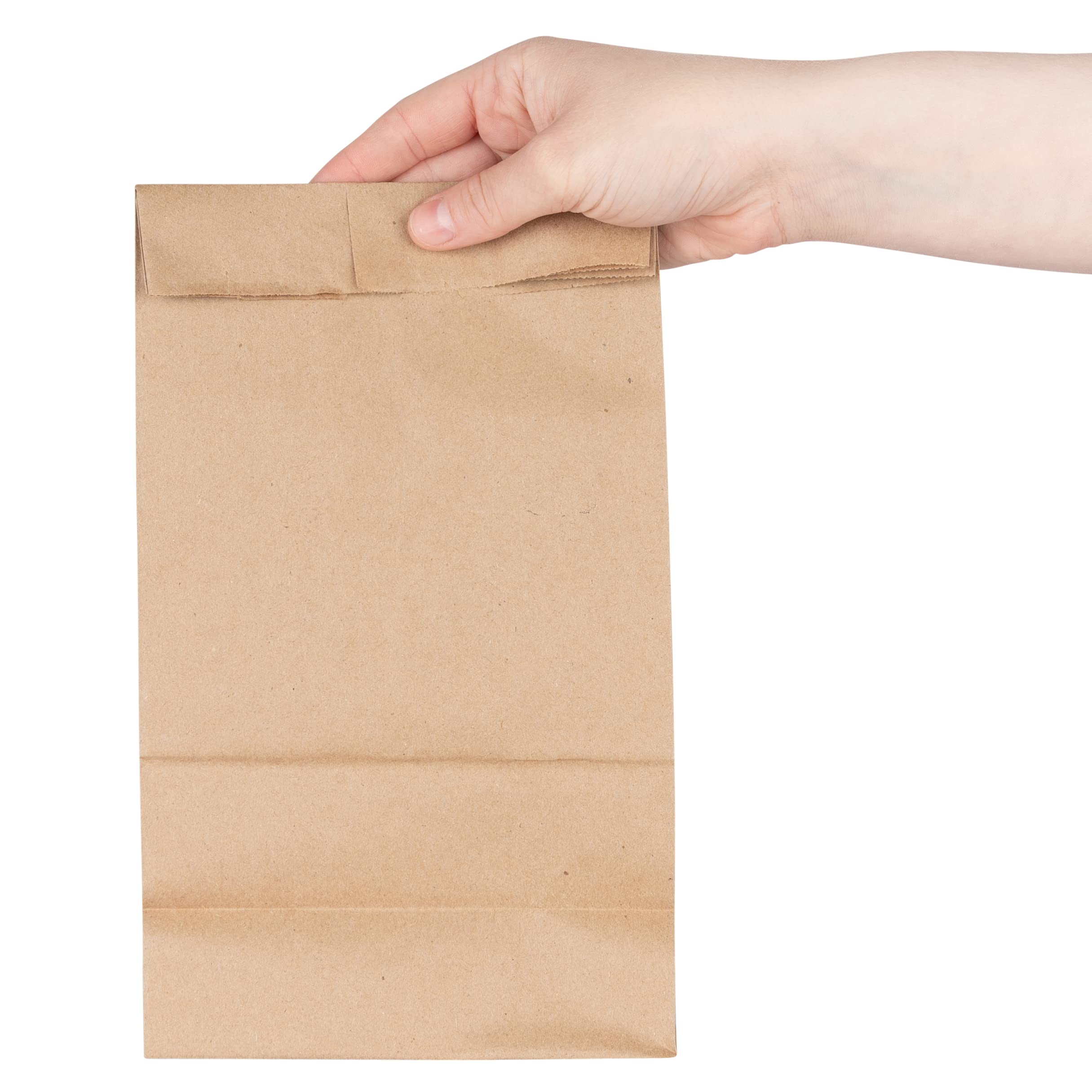 Stock Your Home 6 Lb Kraft Brown Paper Lunch Bags (200 Count) - Bulk Disposable Lunch Sacks, Medium Size Blank Bag For Kids, Goo