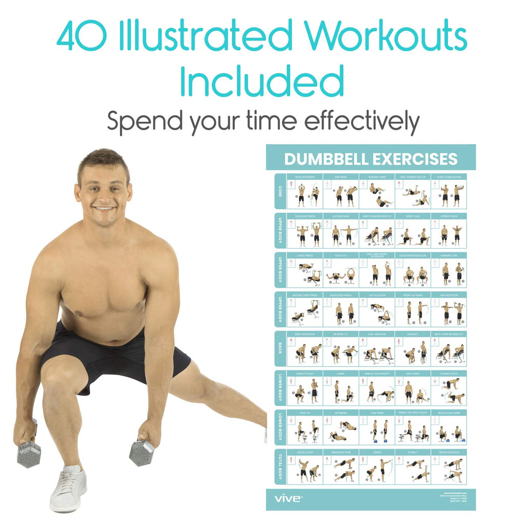 Vive Dumbbell Workout Poster - Home Gym Exercise For Upper, Lower, Full Body - Laminated Bodyweight Chart For Back, Arm, Core An