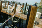 Shurhold Dock-A-Reni