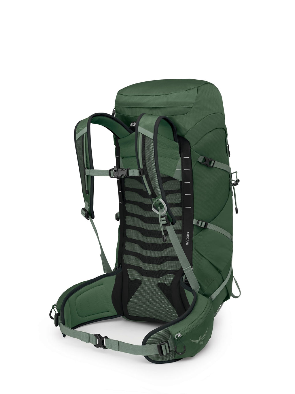 Osprey Talon 33L Mens Lightweight Hiking Backpack - Daypack for Travel & Camping, Green Canopy/Pine Leaf