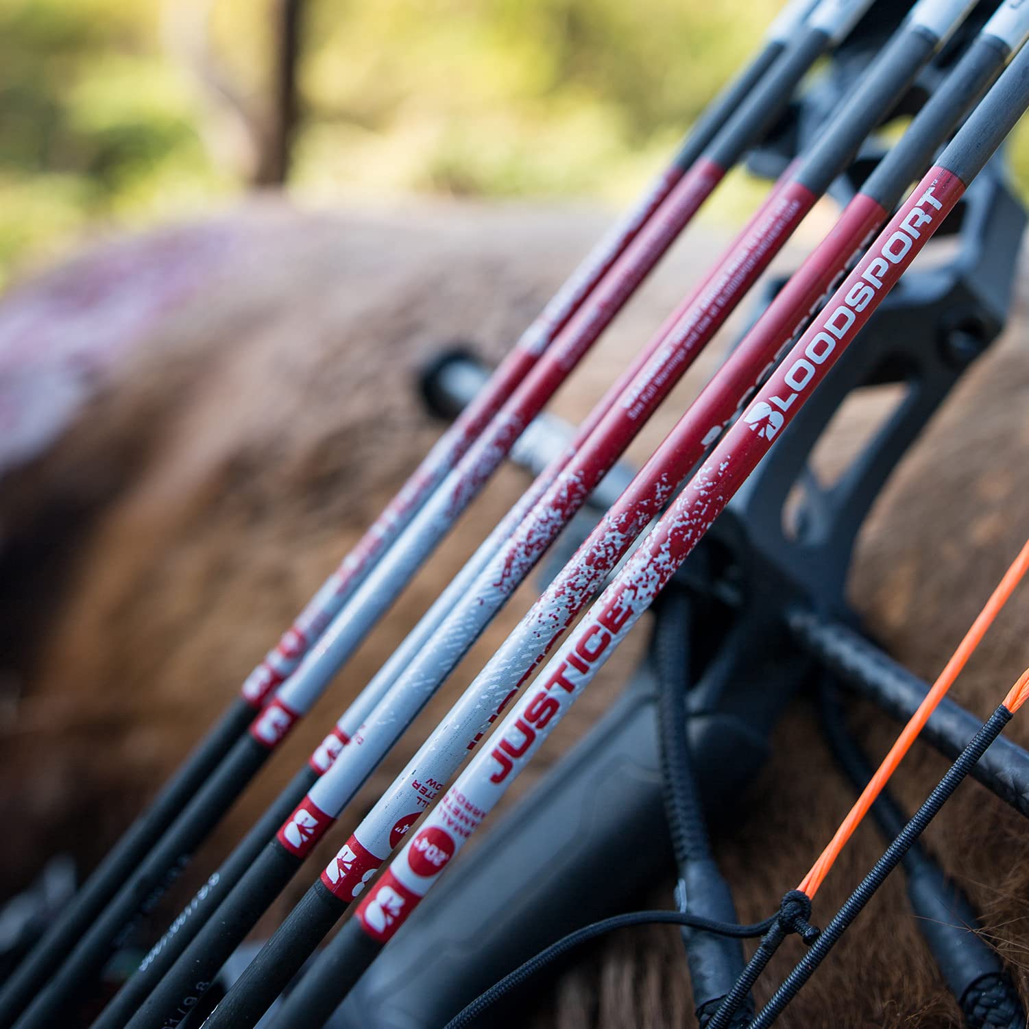 Bloodsport Justice Precise Durable Carbon Fletched Hunting Arrow For Compound Bow - 31'' Length, 204'' Small-Diameter, 001'' Str