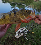 Rod-Runner Fishing Rod Carrier | Pro 5 Portable Rod Rack