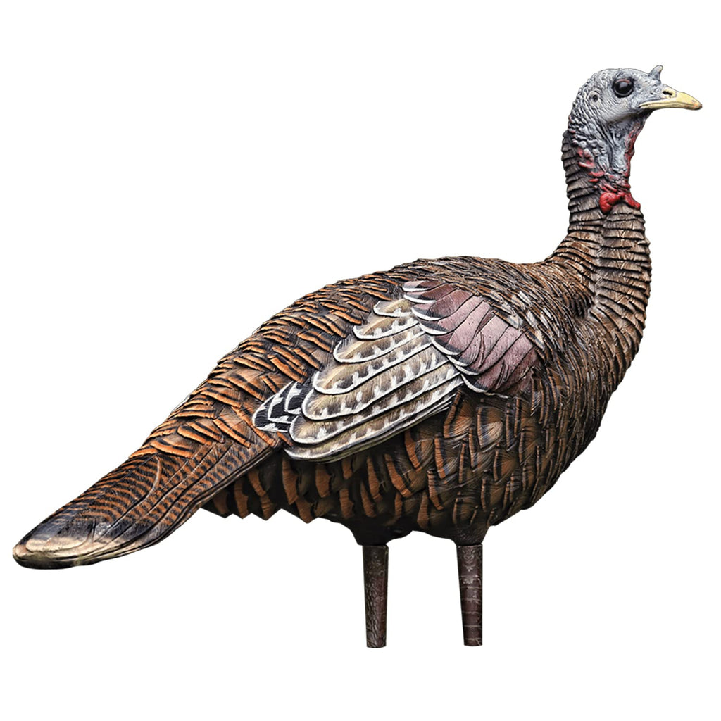 Avian X Lcd Lookout Hen Lifelike Collapsible Turkey Gobbler Hunting Decoy W/ Carbon Stake, Carry Bag, & Storage Compression Stra