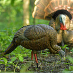 Avian-X Hdr Feeding Hen Turkey Decoy