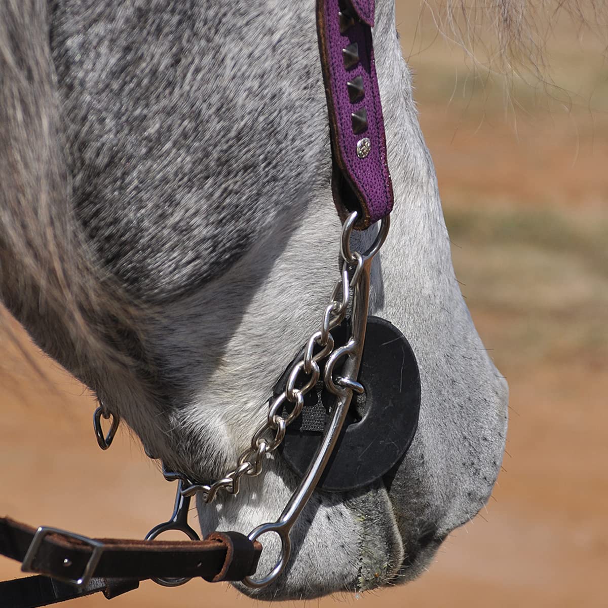 Cashel Bit Cheek Guards (1-Pair), Black