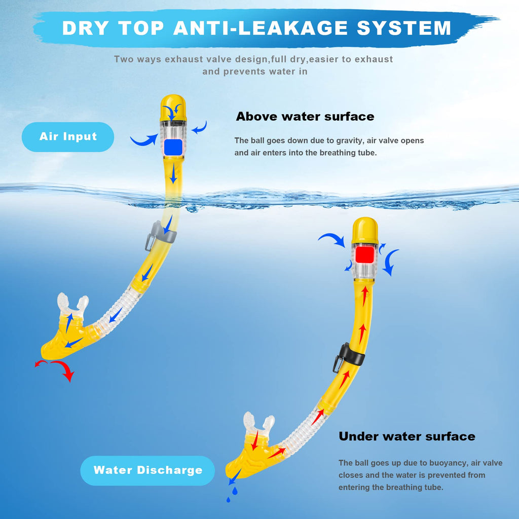 Snorkel Set, Zipoute Snorkel Dry Top Snorkeling Gear For Adults, Panoramic Anti-Leak And Anti-Fog Tempered Glass Lens, Adults Ad
