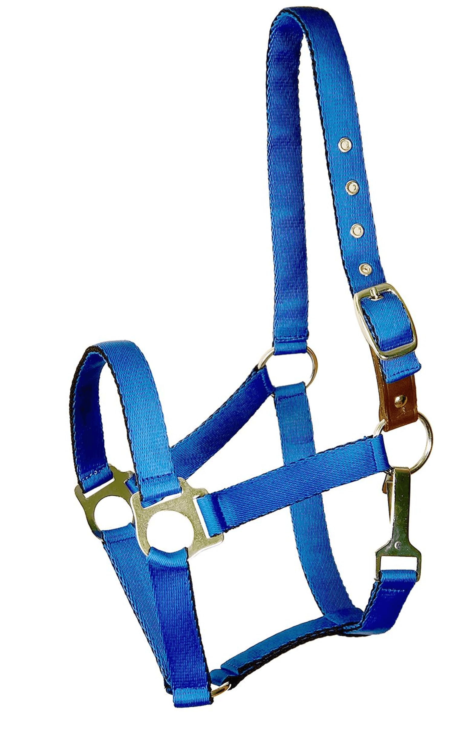 Gatsby Nylon Safety Breakaway Halter Horse Royal
