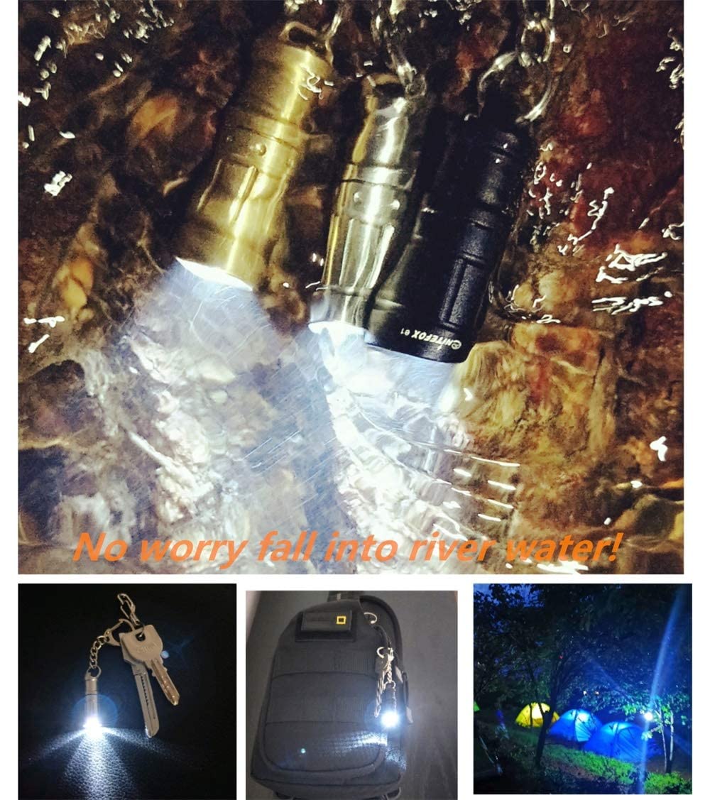 Super Mini Small Tiny Keychain Flashlight, Smallest Bright Key Ring Light Torch For Edc Emergency Dog Walking Sleeping Reading G
