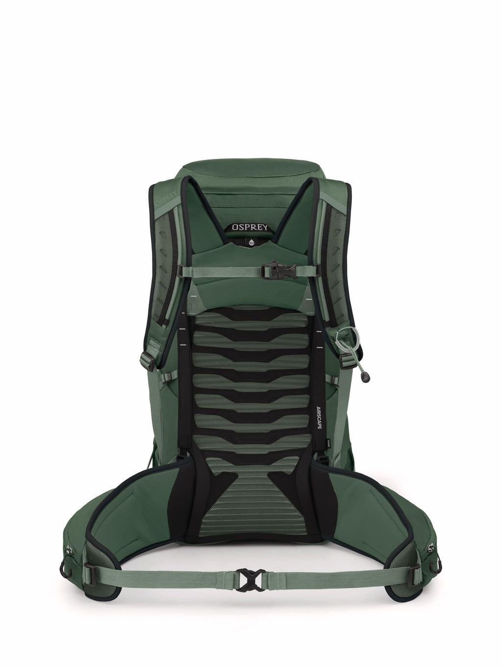 Osprey Talon 33L Mens Lightweight Hiking Backpack - Daypack for Travel & Camping, Green Canopy/Pine Leaf, Extended Fit