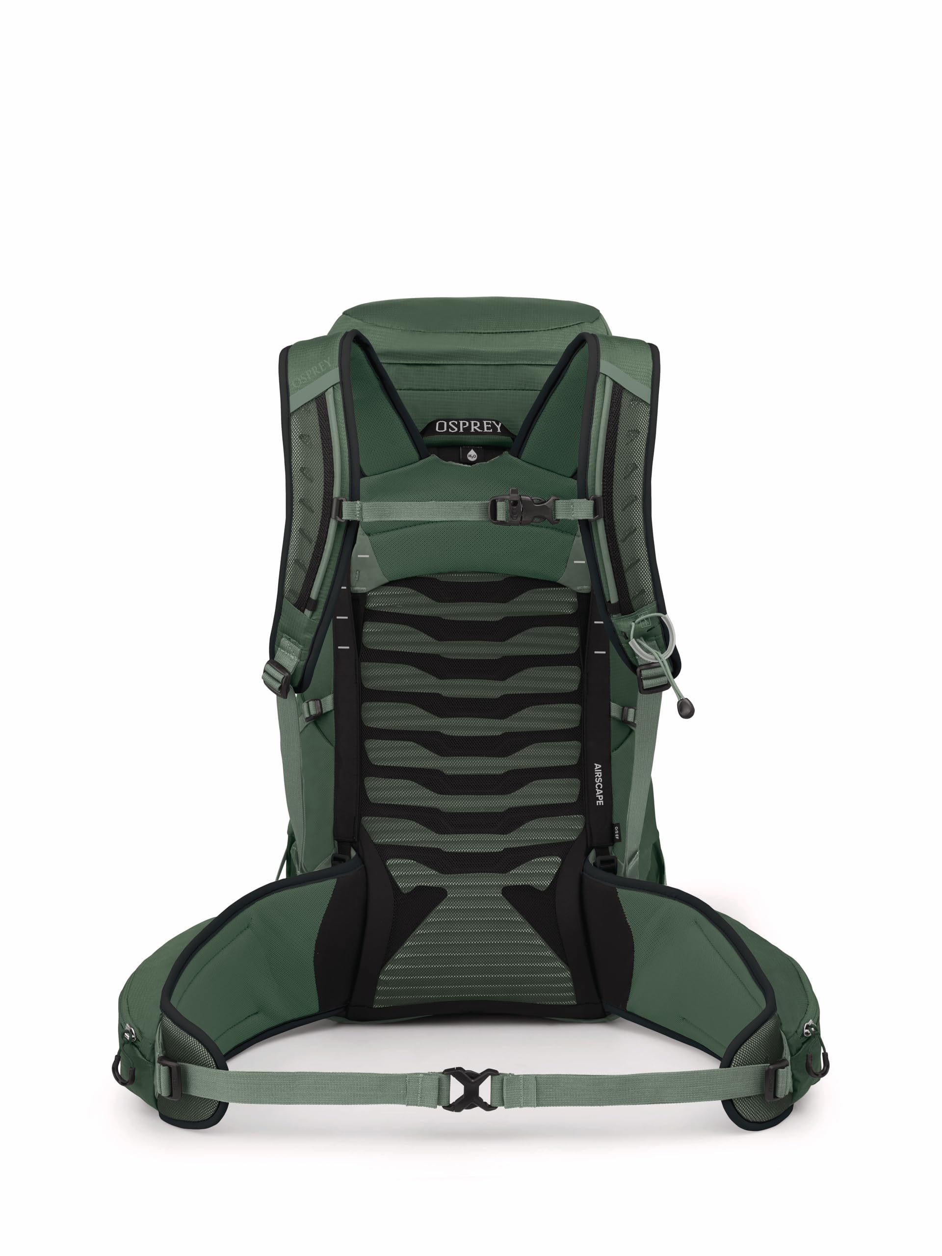 Osprey Talon 33L Mens Lightweight Hiking Backpack - Daypack for Travel & Camping, Green Canopy/Pine Leaf, Extended Fit