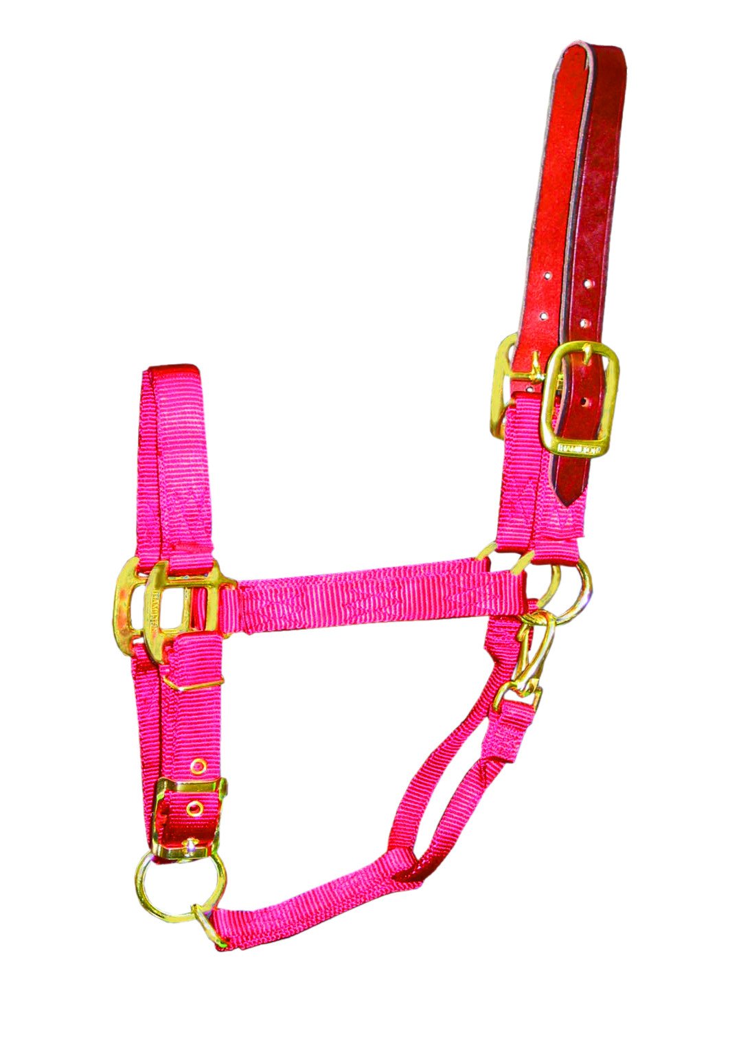 Hamilton 1-Inch Nylon Adjustable Horse Halter With Leather Head Poll And Throat Snap, Large, Red