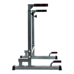 Balancefrom Multi-Function Dip Stand Dip Station Dip Bar With Improved Structure Design, 500-Pound Capacity, Gray